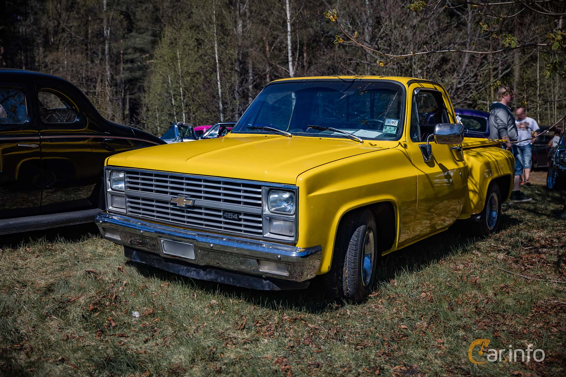 GMC C1500 4.1 Manual, 122hp, 1983