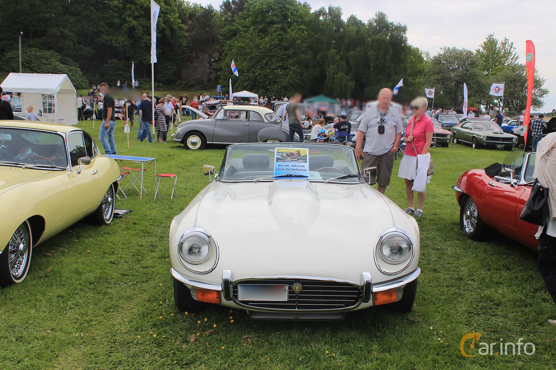 Jaguar E-Type Roadster 5.3 V12 Manual, 276hp, 1973
