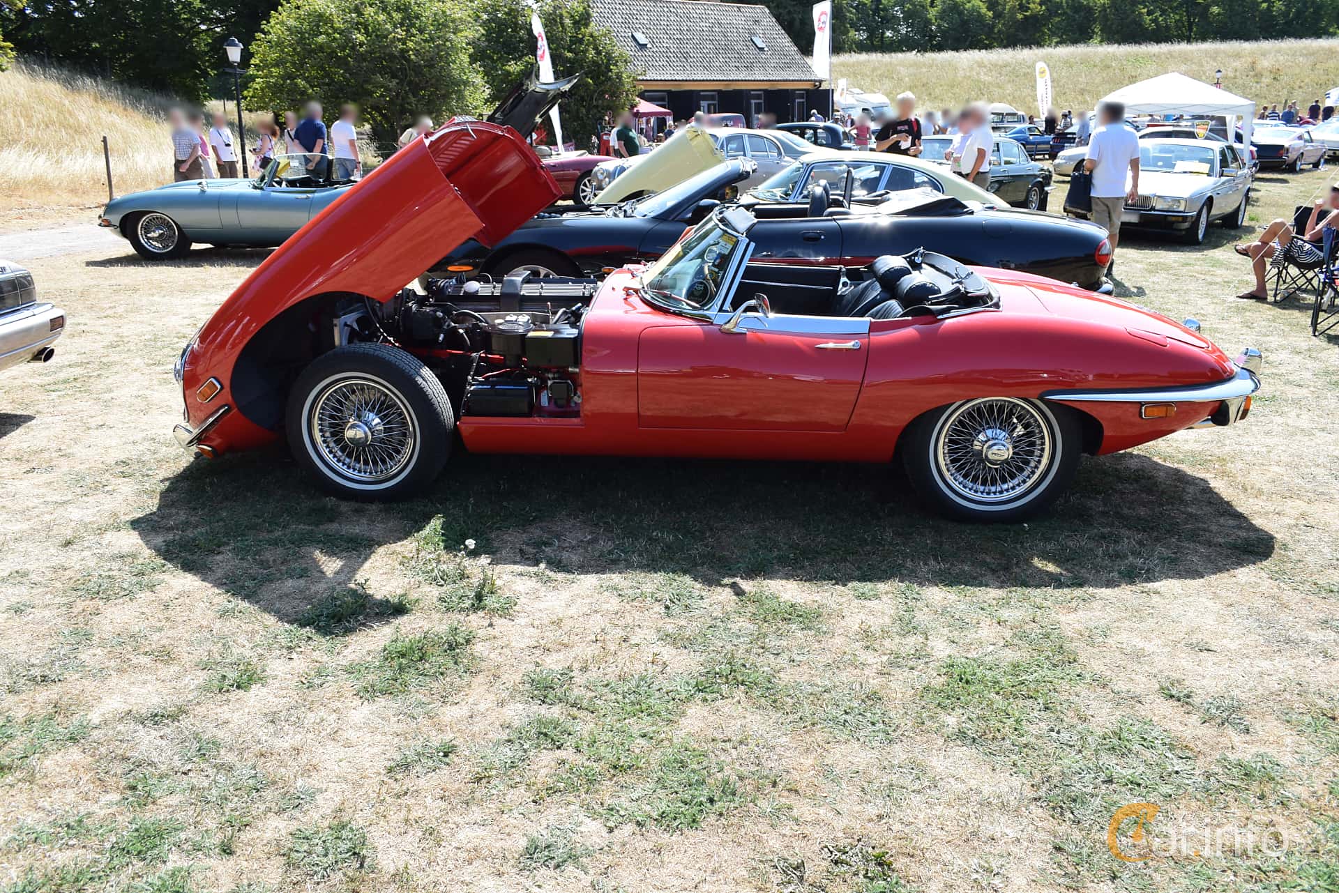 Jaguar E-Type Roadster 5.3 V12 276hp, 1971