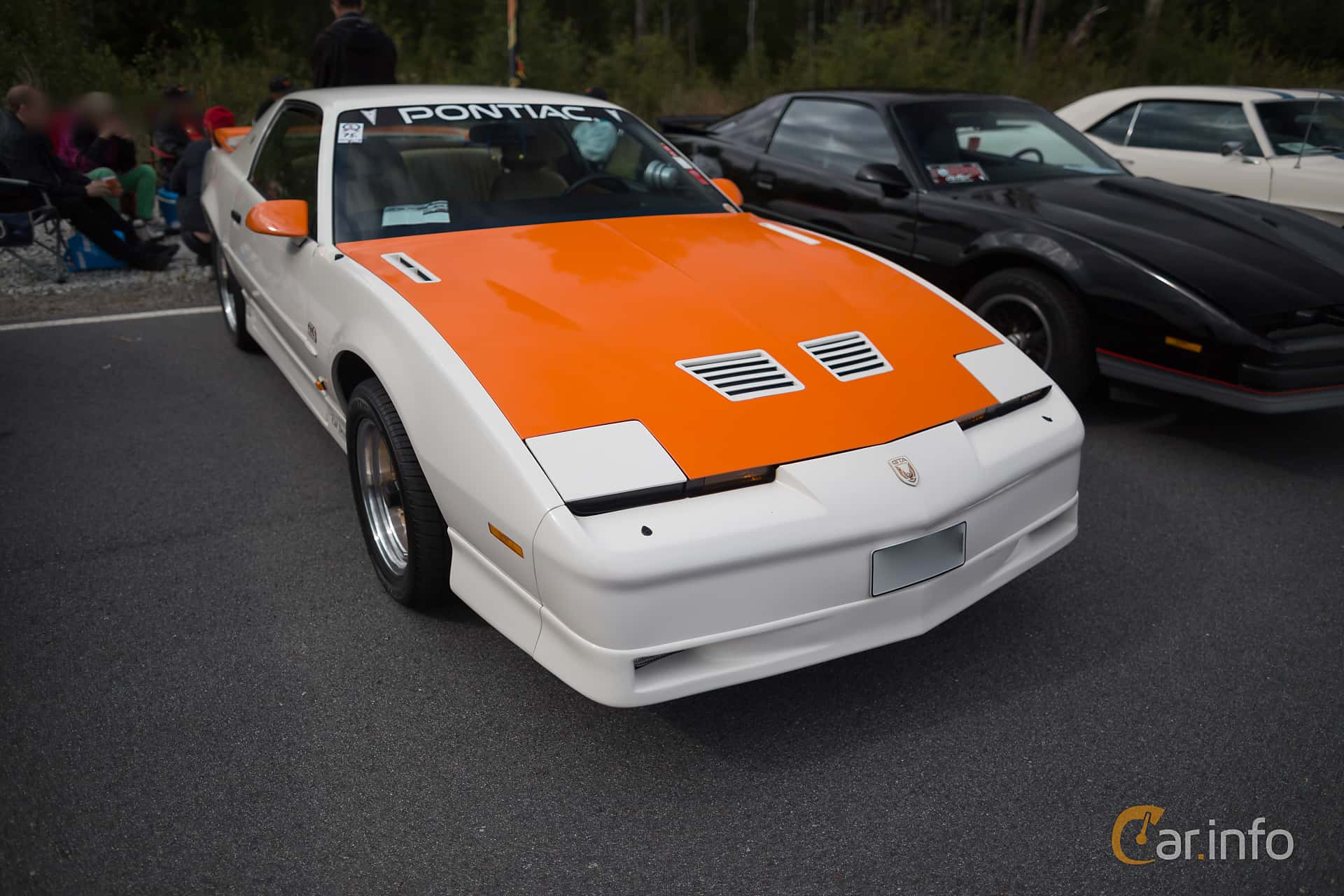 Pontiac Firebird 5.0 V8 Automatic, 230hp, 1987