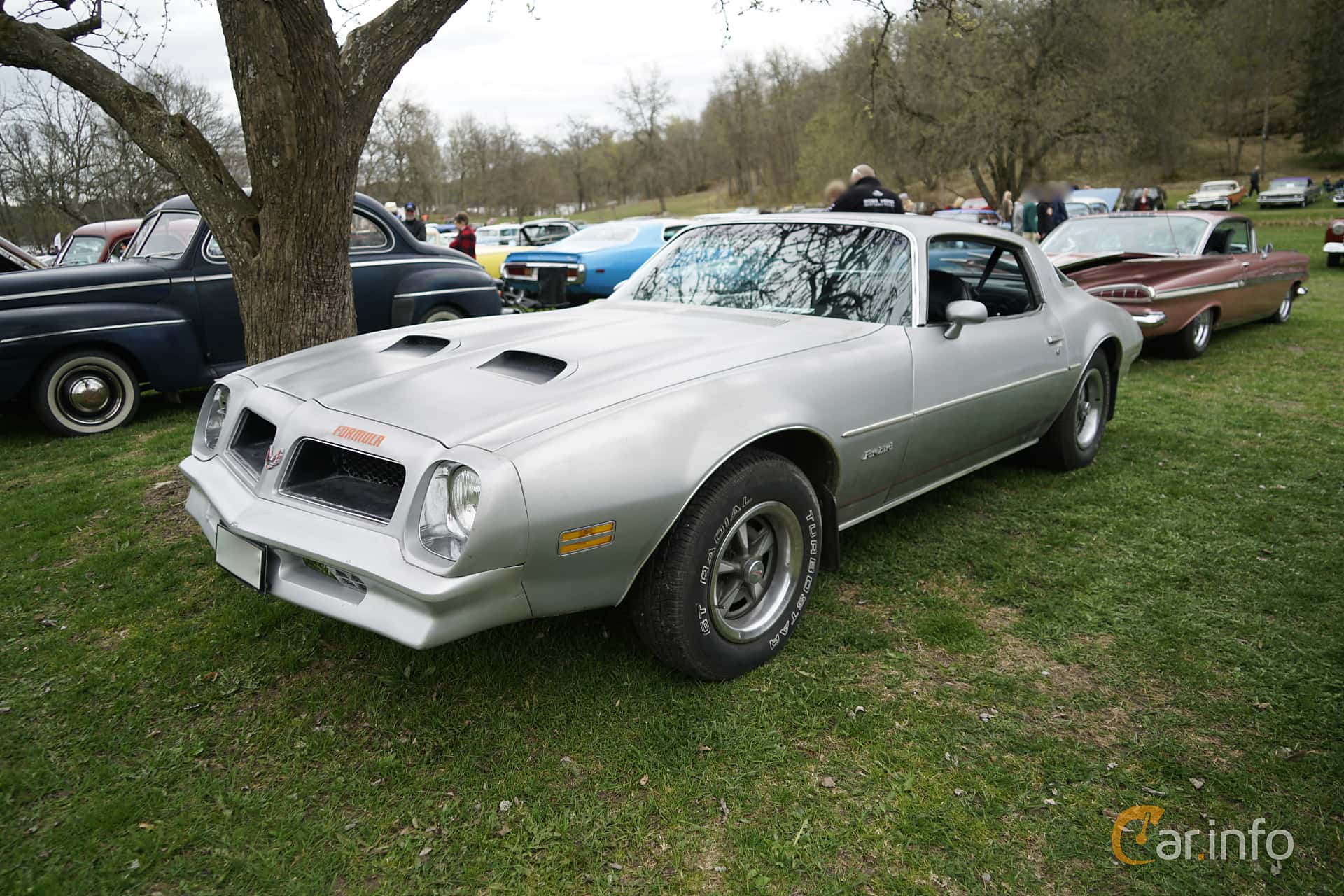 Pontiac Firebird Formula 6.6 V8 188hp, 1976