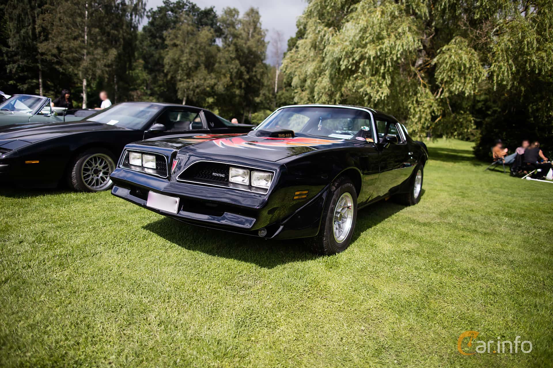 Pontiac Firebird Trans Am 6.6 V8 Hydra-Matic, 223hp, 1978