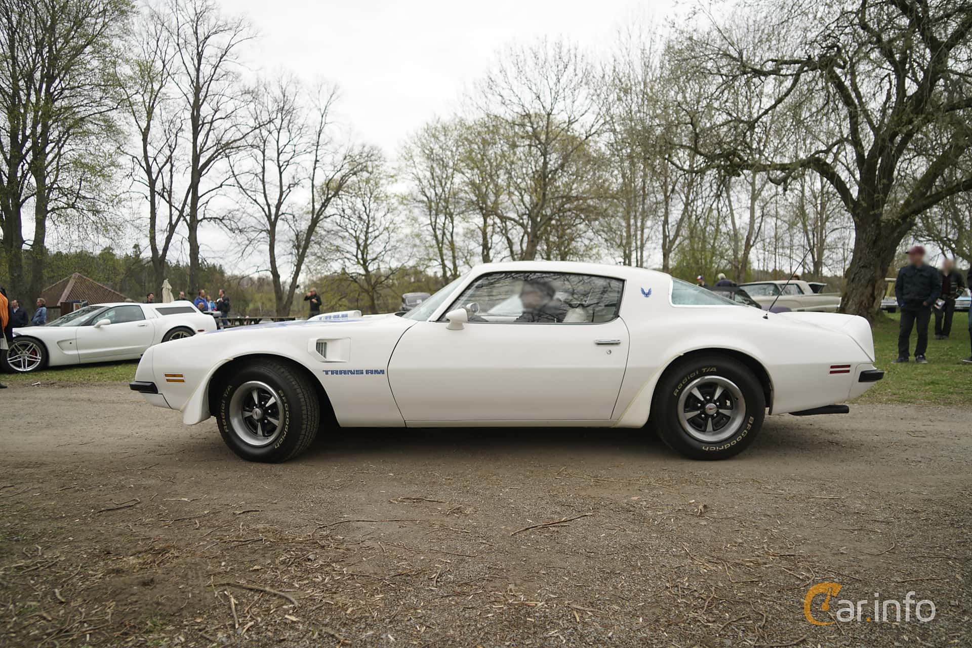Pontiac Firebird Trans Am 6.6 V8 Hydra-Matic, 188hp, 1975