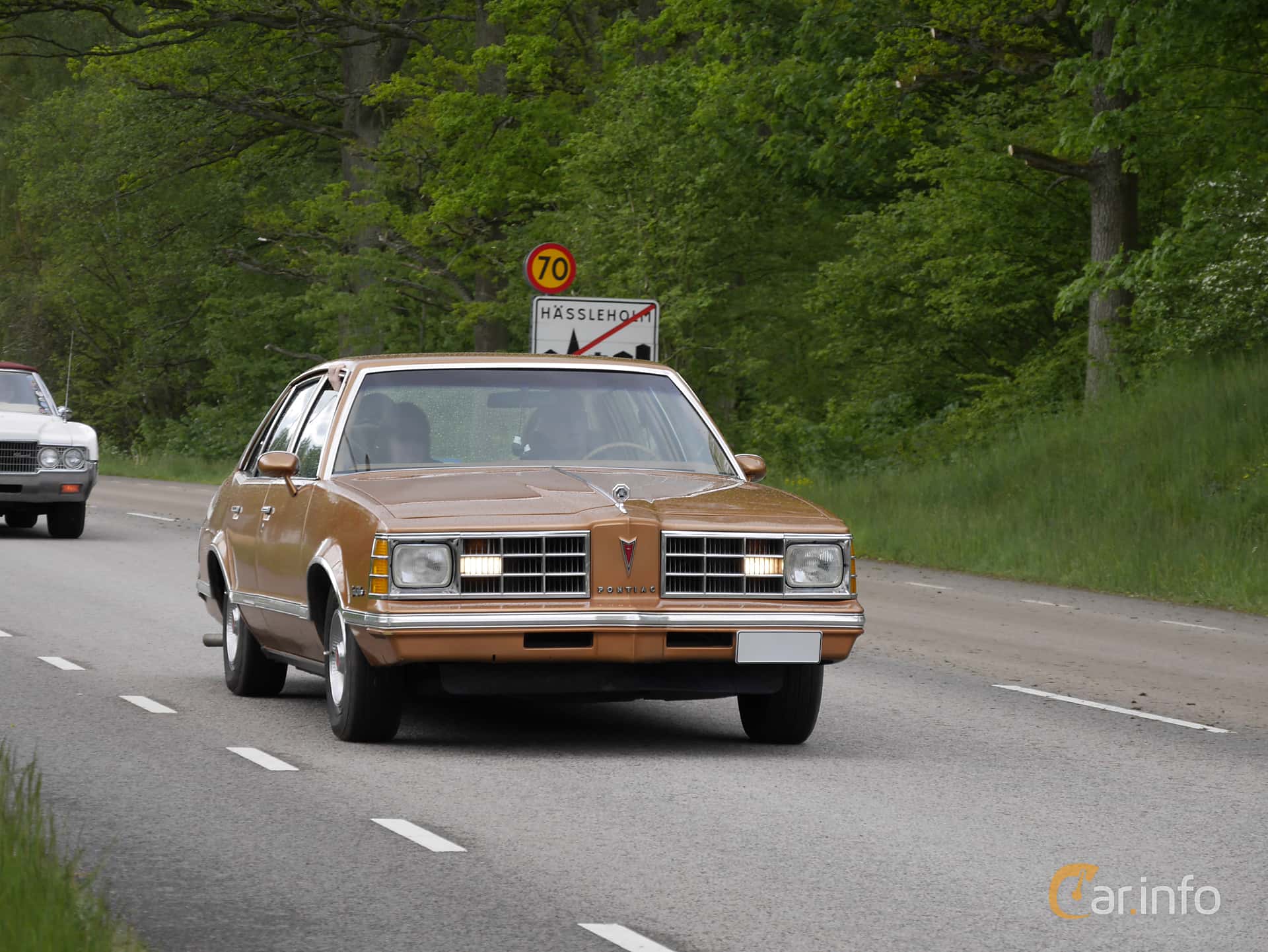 Pontiac Grand LeMans 5.0 V8 Automatic, 162hp, 1978