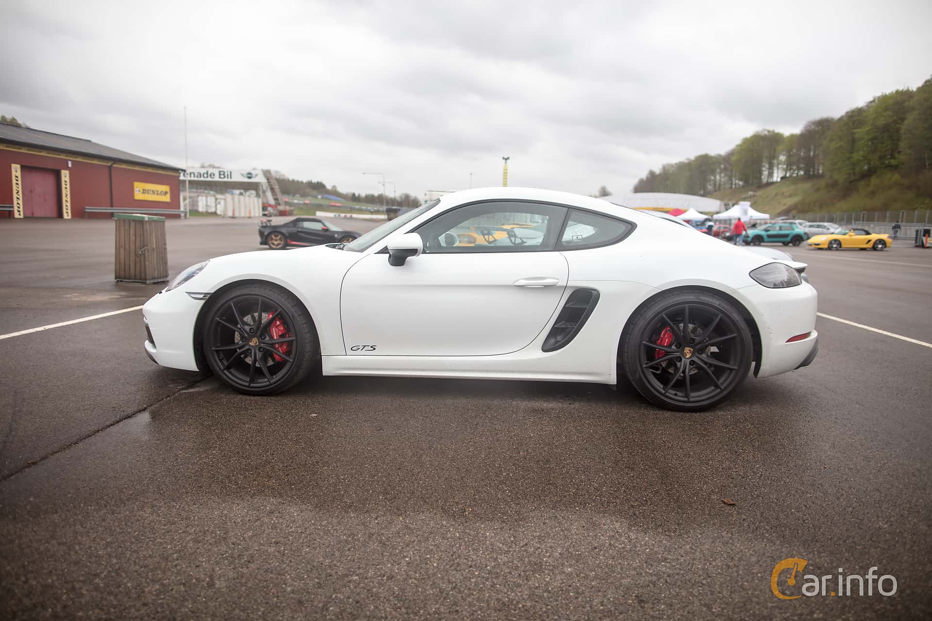 Porsche 718 Cayman GTS  Manual, 365hp, 2018